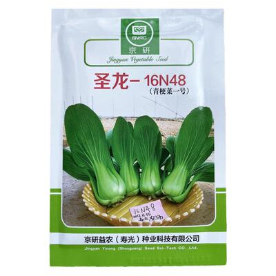 圣龙一号农科院耐湿夏秋季上海青