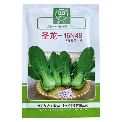 圣龙16N48上海青种子青梗菜一号四季青菜种籽高产耐热耐湿夏秋季