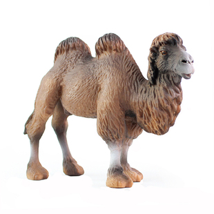 仿真双峰骆驼玩具动物模型单峰骆驼实心塑胶儿童男孩收藏摆件礼物