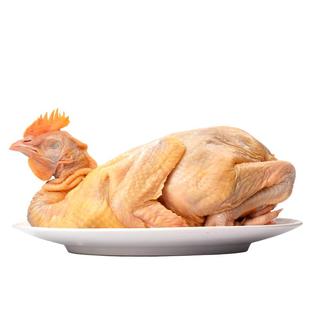 东方甄选三黄鸡/乌鸡鸡肉火锅食材炖鸡汤炒菜整鸡冷冻食品美食