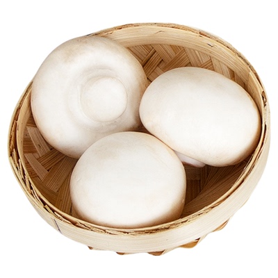 【顺丰】新鲜口蘑现摘双孢菇白蘑菇冷链产地直发时令蔬菜