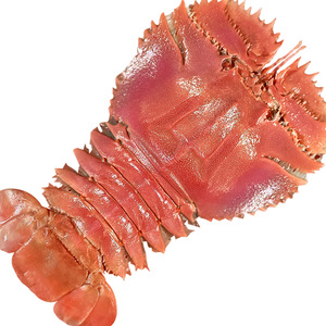 舟山琵琶虾2000g【19-22cm/只】