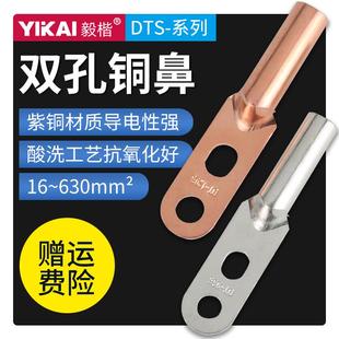 120 150 双孔铜鼻子DTS25 240 185 300平方线耳接线端子