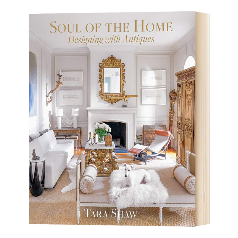 灵魂的家园 Soul of the Home 英文原版 室内设计参考工具书 英文版艺术书籍