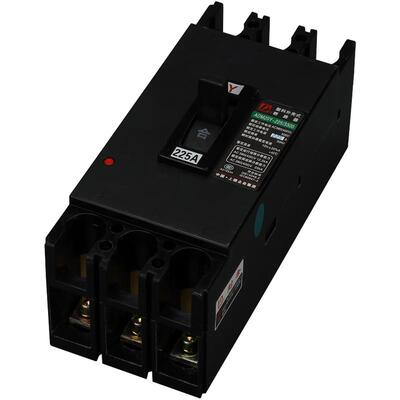DZ20Y3300225A断路保护器380V