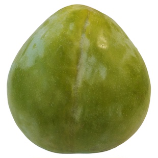 【奈李苗】黄金李中晚黄金奈翡翠古田油奈8月浦江桃形李子树苗