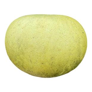 重庆梁平柚子农家土柚子梁山柚苦药麻凉平顶白心新鲜老品种水果