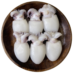 墨鱼仔新鲜冷冻小墨鱼无包冰鲜活冷冻乌贼小鱿鱼捞汁小海鲜商用