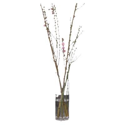 桃花鲜切枝超长花期有淡淡的香味