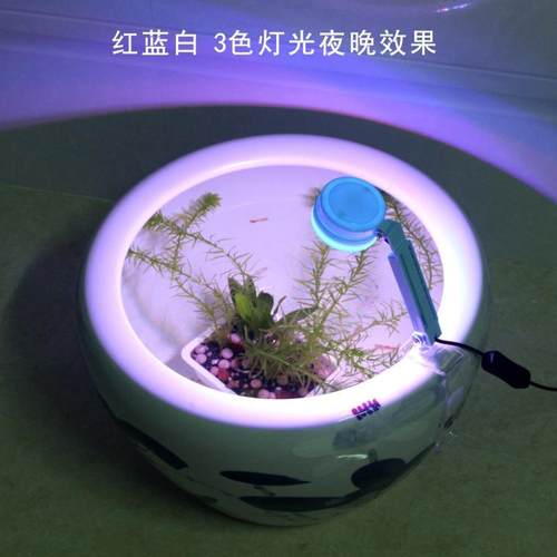 陶瓷圆缸专用照明灯圆形鱼缸防水LED彩灯鱼盆水草灯光节能小圆灯