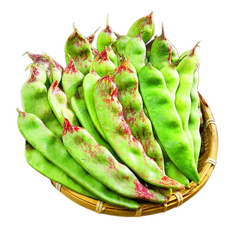 东北油豆角现摘新鲜蔬菜新鲜一点红油豆角九月青黑龙江整箱包邮