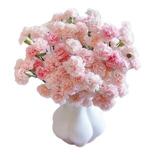 康乃馨鲜花顺丰次日达云南基地直发家用插花鲜切花母亲节礼物花卉