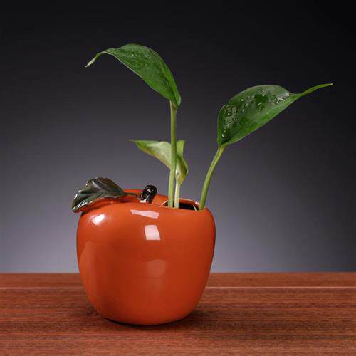 创意可爱陶瓷水培花瓶水养绿萝迷你小号插花器皿客厅桌面装饰摆u.