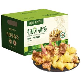 姜来无忧正宗云南有机小黄姜鲜姜老姜新鲜生姜罗平农家土姜老姜种