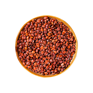 种植种子货国产正宗野生酸枣仁河北太行山酸枣仁粉炒酸枣仁中药材