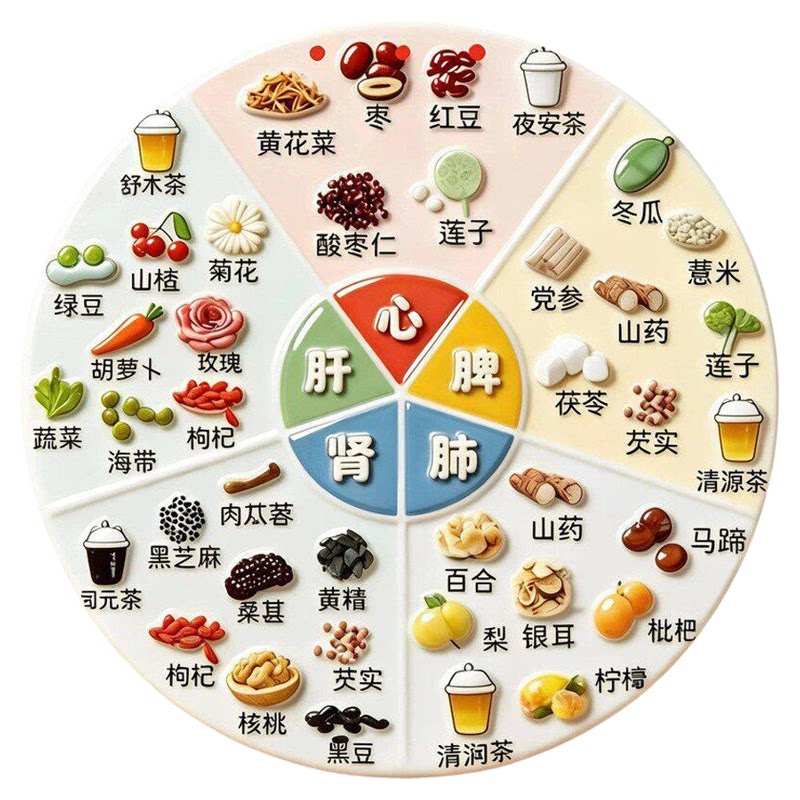 亚克力磁吸养生冰箱贴五脏六腑