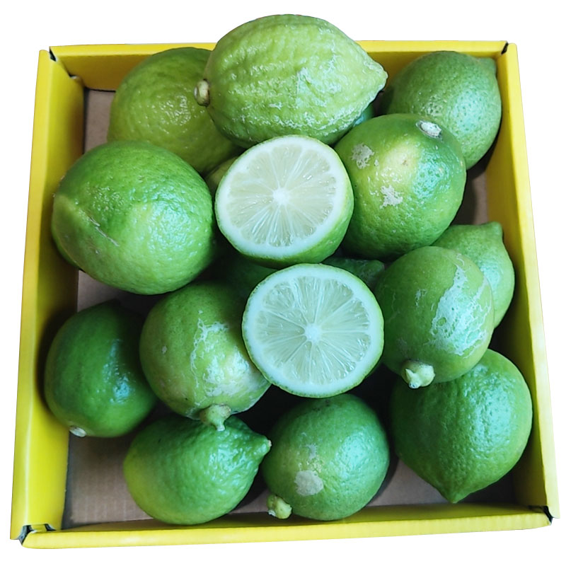 新鲜正宗广东无籽香水柠檬5斤二级果奶茶店专用绿青柠檬江门水果