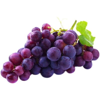 现摘青岛平度特产顺丰玫瑰香葡萄