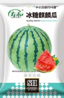 Семена арбуза Bingtang Kirin 30 оригинальных (купи 2 получи 1 бесплатно) дыня 5-8 кг