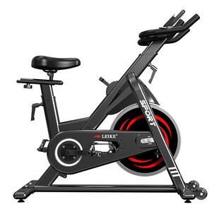 雷克动感单车家用脚踏车静音走步自行车健身房商用专业健身车智能