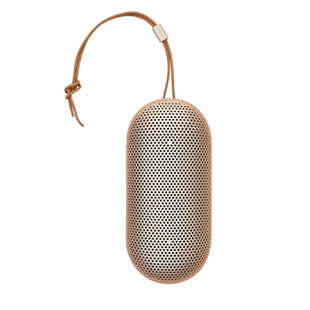 北极星国学机 经典听读机王财贵国学机随身听便携式学习机