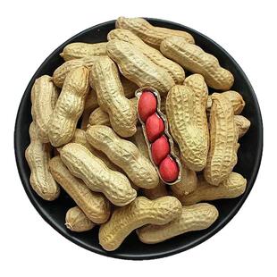炒花生带壳原味2025新货带壳花生农家铁锅炒花生熟原味炒货红皮