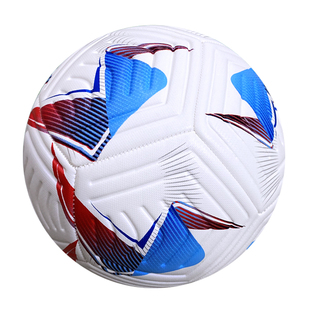 2024美洲杯三环青少年训练比赛专用45号足球耐磨耐踢弹力均匀机缝