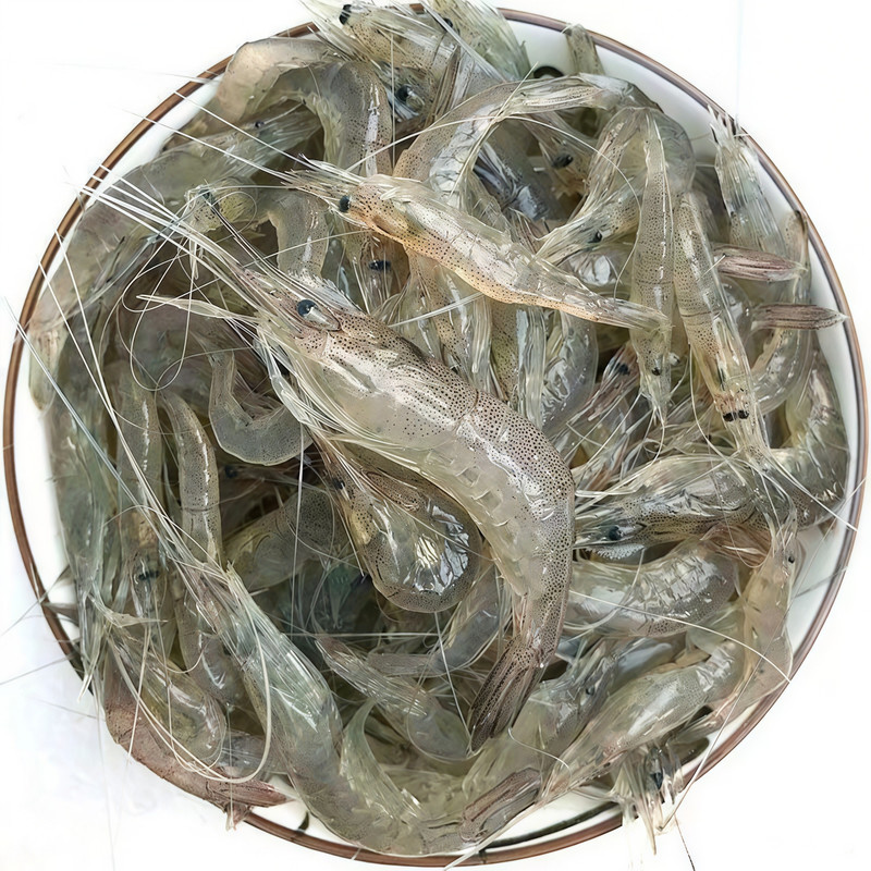 小河虾新鲜冷冻小青虾鲜活野生