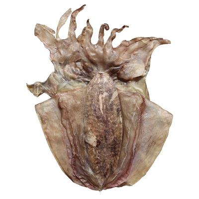 淡干墨鱼干10成干度新鲜晾晒