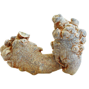 贡府堂文山30头三七云南春三七头500g无剪口滑头田七头可打三七粉