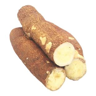 广西黄肉木薯新鲜蛋黄10斤黄心面包木薯糖水木薯羹板栗番薯粉糯