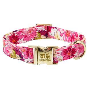 狗狗刻字项圈猫咪防丢失伸缩绳颈圈比熊泰迪牵引绳狗圈狗绳脖圈