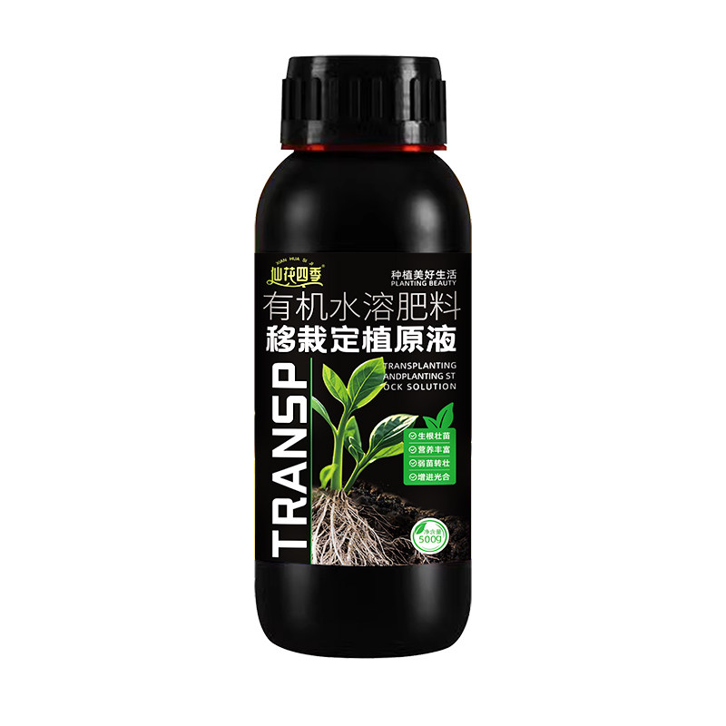 仙花四季移栽定植原液
