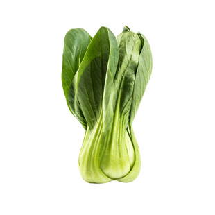 绿娜青梗菜抗热605青菜种子上海青小白菜种籽阳台盆栽蔬菜种子孑