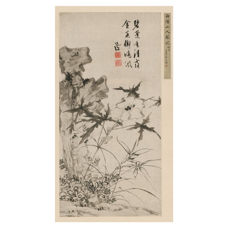 陈淳《葵石图》花鸟画临摹装饰画