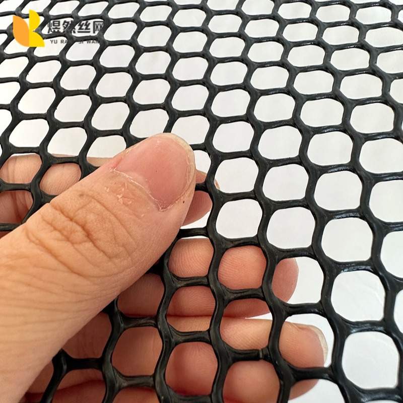 黑色塑料网格阳台防护封窗防坠落养鸡养鸭养鹅养蜂养殖育雏围栏网