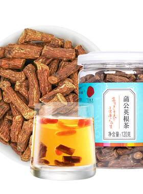北京同仁堂蒲公英根茶泡水