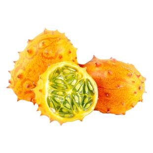 果冻黄瓜种子非洲角传家宝多汁可口高产浓郁抗裂家庭阳台盆栽易种