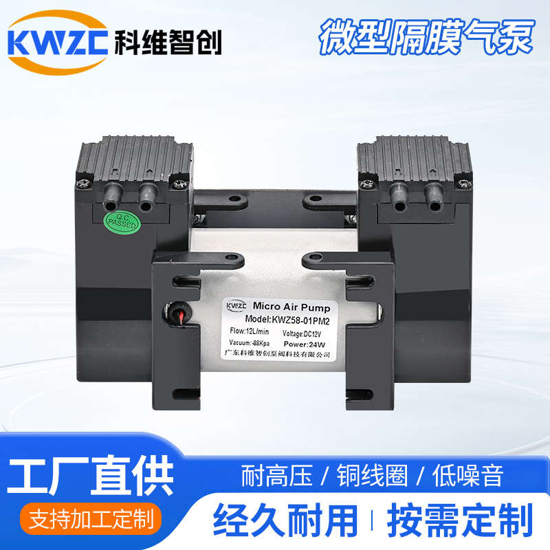 58-01PM2微型隔膜气泵双头泵直流24V电动真空静音吸奶器吸气泵