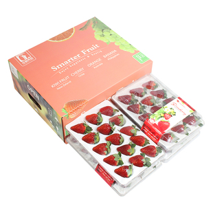 顺丰空运2/4盒礼盒装云南黑珍珠草莓大果现摘新鲜水果高端孕妇