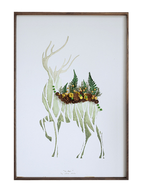 种籽造物鹿野植物手作画