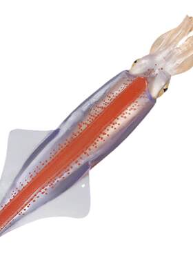 仿真海洋生物海底鱿鱼玩具章鱼动物水母大王乌贼模型男孩生日礼物