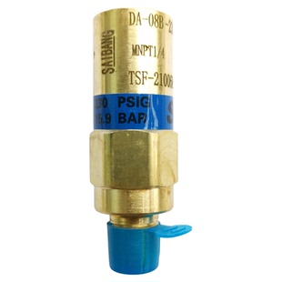 赛邦安全阀低温绝热气瓶液氧罐排气阀230PSI 350PSIG泄气阀高压阀