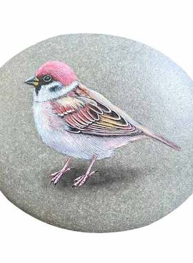 手绘五谷丰登麻雀丙烯石头画