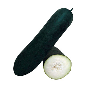 和利农正源广东黑皮大冬瓜种子种籽特大菜东瓜蔬菜孑四季冬瓜大全