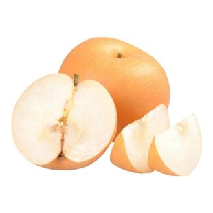 秋月梨树果苗梨树苗南方北方种植果树树苗嫁接水果盆栽当年结果