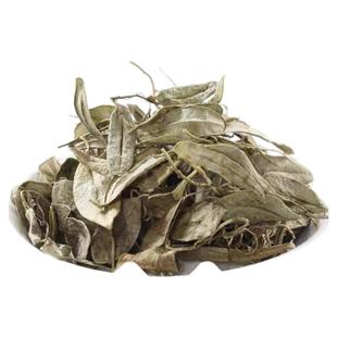 野生抱石莲中药材500g克正品金龟藤抱树莲瓜子菜鱼鳖金星泡茶水喝