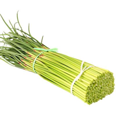 2025新鲜蒜苔河南红帽脆嫩爽口蒜薹当季农家蔬菜短蒜苔5斤整箱