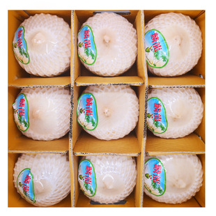 泰国椰青原箱超大果9个香椰香水椰新鲜包邮椰汁网红椰子水果