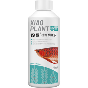 玛豆笑草控菌龙鱼状态恢复需鱼缸水质净化鱼用益生菌非黄粉非鱼药